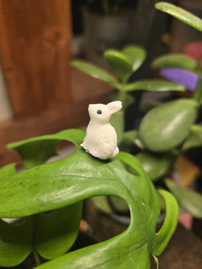 "Becca" The Bunny