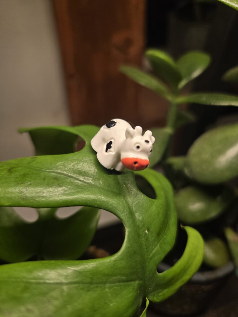 "Debra" The Dairy Cow