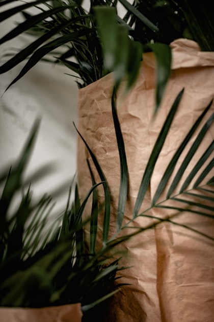 Whimsical Plant Charms for Every Home